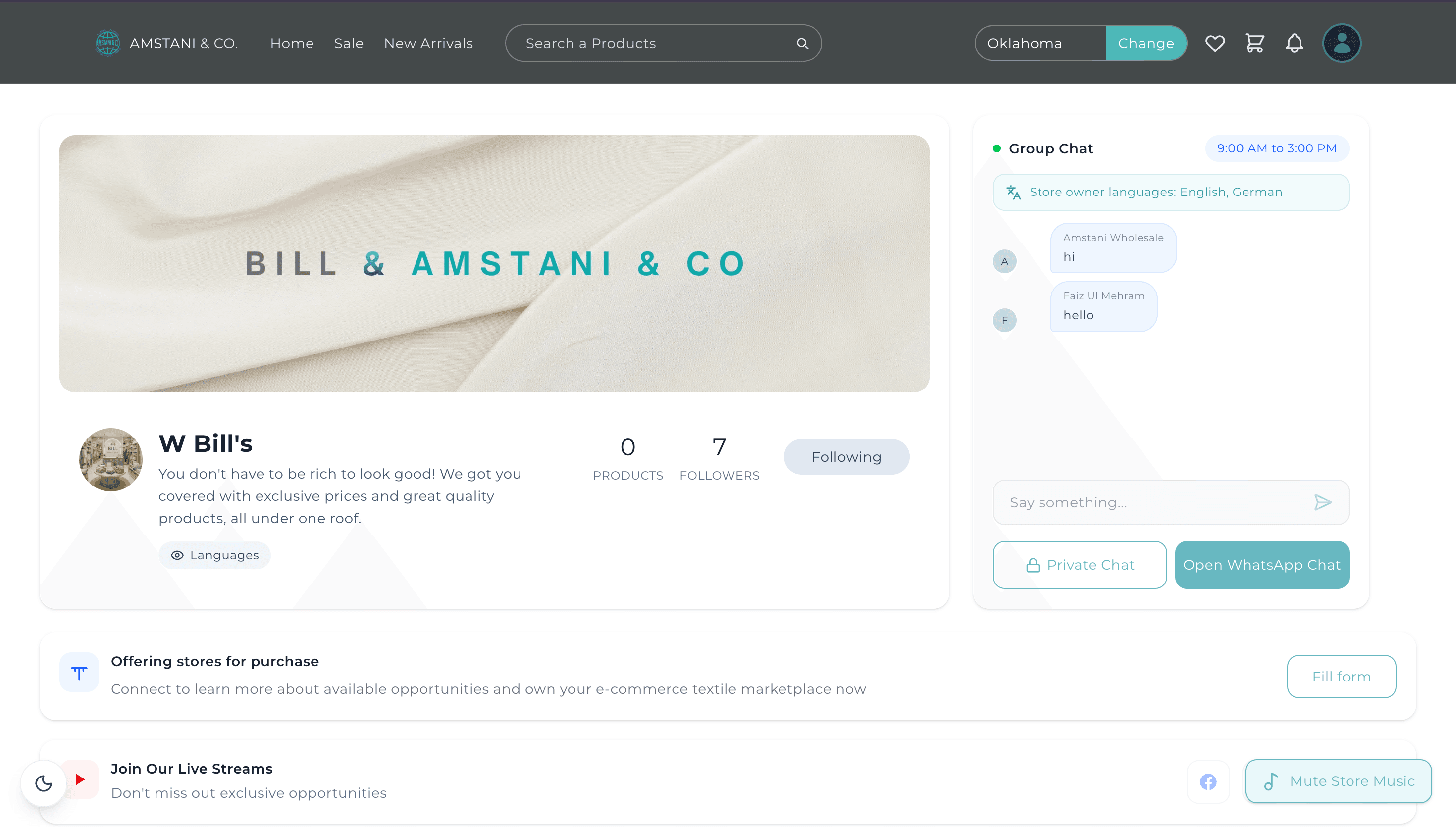 Mobile storefront preview